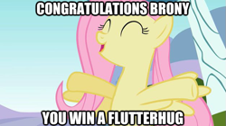 Size: 625x351 | Tagged: safe, fluttershy, pegasus, pony, bronybait, flutterhug, hug, image macro, reaction image