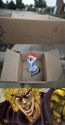 Size: 1280x2444 | Tagged: safe, rainbow dash, pegasus, pony, fanfic:my little dashie, dio brando, evil people finding dash meme, exploitable meme, face, faic, jojo's bizarre adventure, meme