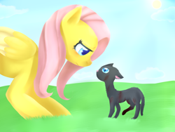 Size: 1024x768 | Tagged: safe, artist:casocat, fluttershy, cat, pegasus, pony, female, mare, solo