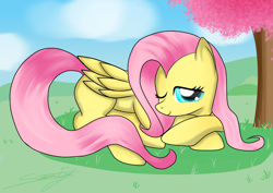 Size: 1480x1050 | Tagged: safe, artist:sierraex, fluttershy, pegasus, pony, cute, pretty, solo, wink