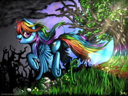 Size: 1600x1200 | Tagged: safe, artist:nemo2d, rainbow dash, pegasus, pony, scenery, solo, underhoof