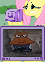 Size: 498x685 | Tagged: safe, fluttershy, pegasus, pony, brave little toaster, exploitable meme, fluttercry, meme, tv meme, worthless