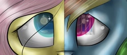 Size: 2000x875 | Tagged: safe, artist:neutisshow, derpibooru import, fluttershy, rainbow dash, pegasus, pony, edmond dantes, eyes closed, i will be there, mercedes, rainbow dantes, shycedes, split screen, the count of monte cristo, the count of monte rainbow