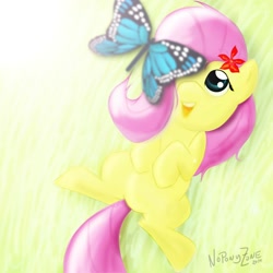 Size: 2000x2000 | Tagged: safe, artist:noponyzone, fluttershy, butterfly, pegasus, pony, high res, lying, on back, solo