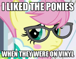 Size: 457x355 | Tagged: safe, fluttershy, pegasus, pony, glasses, hipster, hipstershy, image macro, modelshy