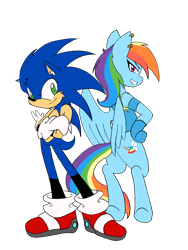 Size: 3024x4032 | Tagged: safe, artist:larrykitty, derpibooru import, rainbow dash, pegasus, pony, absurd resolution, backwards cutie mark, clothes, crossover, ear piercing, earring, jewelry, looking at you, piercing, simple background, sonic the hedgehog, sonic the hedgehog (series), transparent background