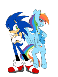 Size: 3024x4032 | Tagged: safe, artist:steelsoul, derpibooru import, rainbow dash, pegasus, pony, absurd resolution, backwards cutie mark, clothes, crossover, ear piercing, earring, jewelry, looking at you, piercing, simple background, sonic the hedgehog, sonic the hedgehog (series), transparent background