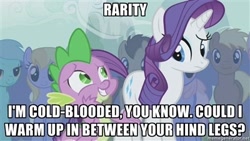 Size: 400x225 | Tagged: safe, edit, edited screencap, screencap, cloud kicker, coco crusoe, doctor whooves, lyra heartstrings, rainbowshine, rarity, spike, dragon, earth pony, pony, unicorn, boast busters, bad pickup line spike, caption, exploitable meme, female, image macro, innuendo, male, mare, meme, shipping, sparity, stallion, straight