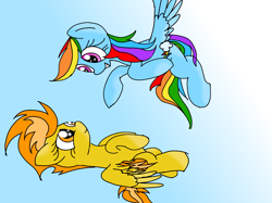 Size: 4100x3071 | Tagged: safe, artist:daisy meadows, rainbow dash, spitfire, pegasus, pony, flying, sky, wings