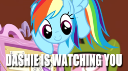 Size: 616x346 | Tagged: safe, derpibooru import, edit, edited screencap, screencap, rainbow dash, pegasus, pony, fluttershy leans in, cute, fluttershy's dreamboard, flying, image macro, meme, solo