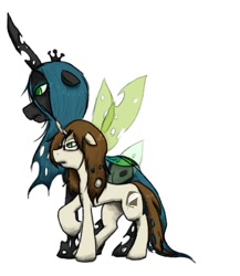 Size: 1024x1178 | Tagged: safe, queen chrysalis, oc, oc:poisoned soul, changeling, changeling queen, canon x oc, changelingified, chrysalislover, shipping
