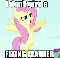 Size: 480x465 | Tagged: safe, fluttershy, pegasus, pony, female, flying feather, idgaf, image macro, mare