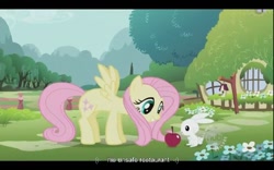 Size: 640x400 | Tagged: safe, screencap, angel bunny, fluttershy, pegasus, pony, female, mare, youtube caption