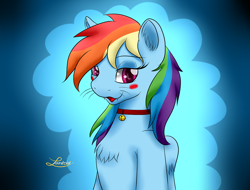 Size: 1280x973 | Tagged: safe, artist:lordzid, rainbow dash, cat, bell, bell collar, blushing, cat bell, collar, fangs, solo, species swap, whiskers