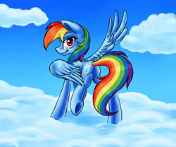 Size: 3000x2500 | Tagged: safe, artist:artyjoyful, rainbow dash, pegasus, pony, cloud, cloudy, looking back, plot, smirk, solo, spread wings, underhoof