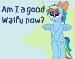 Size: 500x396 | Tagged: safe, artist:thejakevale, rainbow dash, pegasus, pony, blue coat, bow, female, mare, multicolored mane, solo, waifu