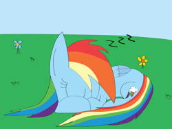 Size: 1024x768 | Tagged: safe, artist:mr. rottson, rainbow dash, pegasus, pony, blue coat, female, mare, multicolored mane, sleeping, solo