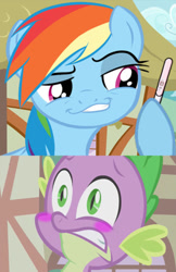 Size: 518x799 | Tagged: safe, artist:the-equestrian-mist, edit, rainbow dash, spike, dragon, pegasus, pony, blushing, faic, female, gritted teeth, interspecies, male, mare, meme, photoshop, ponyville, pregnancy test, pregnancy test meme, rainbowspike, shipping, smug, smugdash, straight