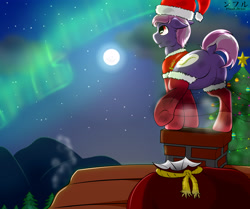 Size: 3000x2513 | Tagged: safe, artist:flash_draw, oc, oc only, earth pony, pony, aurora borealis, chimney, chimney dust, chocolate, christmas, christmas lights, christmas star, christmas tree, christmas wreath, clothes, coal, commission, complex background, detailed, featureless crotch, food, holiday, holly, hot chocolate, house, male, moon, mountain, roof, scarf, socks, solo, thigh highs, thighs, tree, wreath