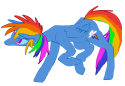 Size: 1000x688 | Tagged: safe, artist:nowler, rainbow dash, pegasus, pony, blue coat, female, mare, multicolored hair, multicolored mane, solo