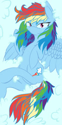 Size: 600x1200 | Tagged: safe, artist:bloody--mascarade, rainbow dash, pegasus, pony, female, mare, solo