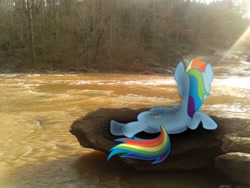 Size: 2048x1536 | Tagged: safe, artist:sairoch, artist:tokkazutara1164, rainbow dash, forest, irl, lying down, on side, perch, photo, ponies in real life, river, rock, shadow, solo, sunlight, tree