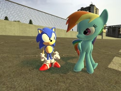 Size: 1280x960 | Tagged: safe, artist:sp19047, rainbow dash, pegasus, pony, 3d, classic sonic, crossover, gmod, sonic the hedgehog, sonic the hedgehog (series)