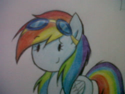 Size: 1600x1200 | Tagged: safe, artist:darkynez, rainbow dash, pegasus, pony, goggles, solo, traditional art