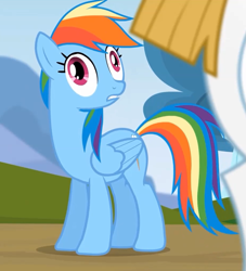 Size: 921x1013 | Tagged: safe, screencap, bulk biceps, rainbow dash, pegasus, pony, rainbow falls, season 4, derp