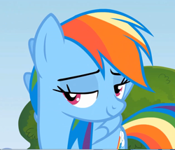 Size: 1260x1080 | Tagged: safe, screencap, rainbow dash, pegasus, pony, rainbow falls, season 4, lidded eyes, solo