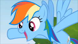 Size: 1920x1080 | Tagged: safe, screencap, rainbow dash, pegasus, pony, rainbow falls, season 4, solo