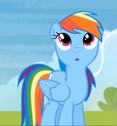 Size: 633x685 | Tagged: safe, screencap, rainbow dash, pegasus, pony, rainbow falls, season 4, :o, cute, looking up, solo