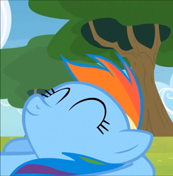 Size: 1062x1080 | Tagged: safe, screencap, rainbow dash, pegasus, pony, rainbow falls, season 4, solo