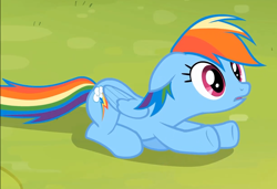 Size: 1224x837 | Tagged: safe, screencap, rainbow dash, pegasus, pony, rainbow falls, season 4, solo