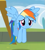 Size: 361x405 | Tagged: safe, screencap, rainbow dash, pegasus, pony, rainbow falls, season 4, cute, sad, solo