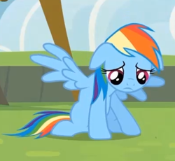 Size: 395x363 | Tagged: safe, screencap, rainbow dash, pegasus, pony, rainbow falls, season 4, sad, solo