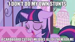 Size: 625x350 | Tagged: safe, derpibooru import, twilight sparkle, cardboard cutout, cardboard twilight, image macro