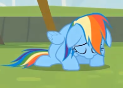 Size: 389x279 | Tagged: safe, screencap, rainbow dash, pegasus, pony, rainbow falls, season 4, sad, solo