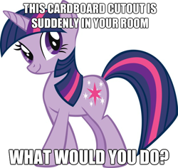 Size: 624x590 | Tagged: safe, derpibooru import, twilight sparkle, unicorn twilight, pony, unicorn, cardboard cutout, cardboard twilight, female, image macro, impact font, mare, meme, stock vector, what do