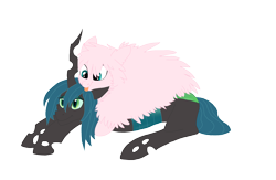 Size: 2295x1500 | Tagged: safe, artist:silcybell, queen chrysalis, oc, oc:fluffle puff, changeling, changeling queen, canon x oc, chrysipuff, female, lesbian, prone, shipping, simple background, smiling, tongue out, transparent background