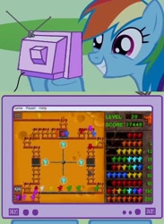 Size: 563x770 | Tagged: safe, rainbow dash, pegasus, pony, exploitable meme, meme, microsoft entertainment pack: the puzzle collection, obligatory pony, rat poker, tv meme