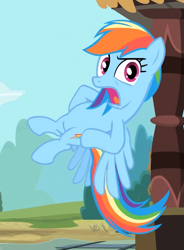 Size: 641x873 | Tagged: safe, screencap, rainbow dash, pegasus, pony, three's a crowd, flying, solo