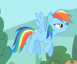 Size: 405x339 | Tagged: safe, screencap, rainbow dash, pegasus, pony, three's a crowd, flying, solo