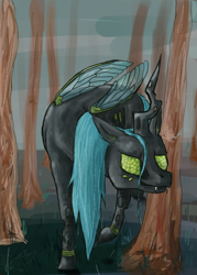 Size: 500x700 | Tagged: safe, artist:shaiza7, queen chrysalis, changeling, changeling queen, female, green eyes, horn, solo