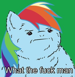 Size: 963x1000 | Tagged: safe, rainbow dash, pegasus, pony, blue coat, female, mare, multicolored mane, solo, text, vulgar, what the fuck man