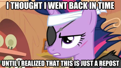 Size: 625x351 | Tagged: safe, derpibooru import, twilight sparkle, caption, future twilight, image macro, reaction image