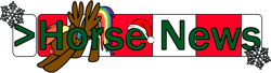 Size: 1100x300 | Tagged: safe, rainbow dash, pegasus, pony, christmas, exploitable meme, horse news, meme, rudolph the red nosed reindeer, your move seth