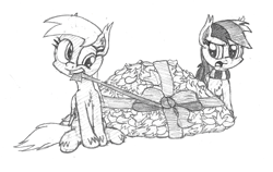Size: 3840x2430 | Tagged: safe, artist:demmon1, derpy hooves, rainbow dash, pegasus, pony, clothes, female, grayscale, leaves, mare, monochrome, mouth hold, newbie artist training grounds, scarf, traditional art, wrapping