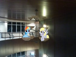 Size: 2048x1536 | Tagged: safe, artist:stillfire, artist:thisismyphotoshoppin, artist:tokkazutara1164, derpy hooves, rainbow dash, pegasus, pony, building, ceiling, ceiling light, chair, female, irl, mare, photo, ponies in real life, sitting, vector