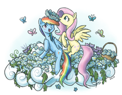 Size: 1280x997 | Tagged: safe, artist:king-kakapo, fluttershy, rainbow dash, butterfly, pegasus, pony, basket, blushing, cloud, duo, ear fluff, floral head wreath, flower, flower in mouth, mouth hold, simple background, unshorn fetlocks, white background